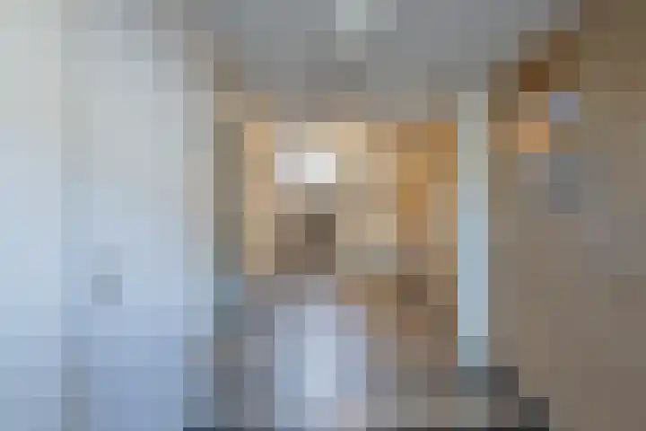 Auriollaan 73 Utrecht thumbnail 58