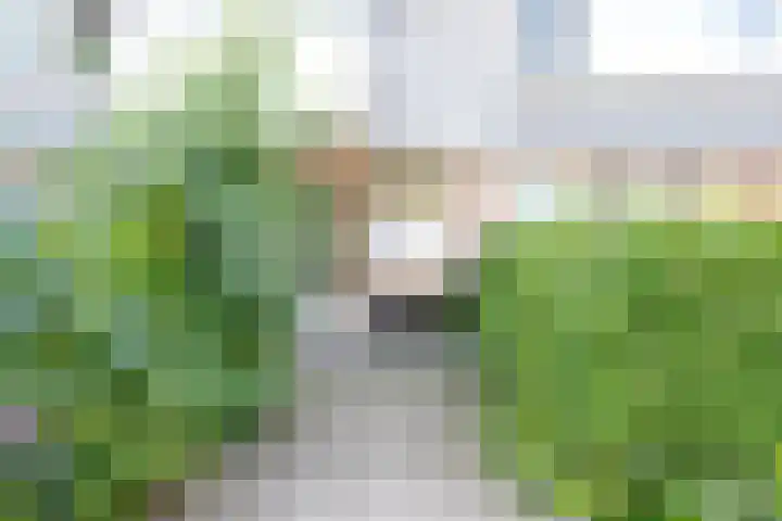 Auriollaan 73 Utrecht thumbnail 59