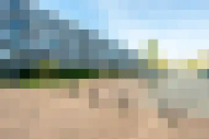 Auriollaan 73 Utrecht thumbnail 62