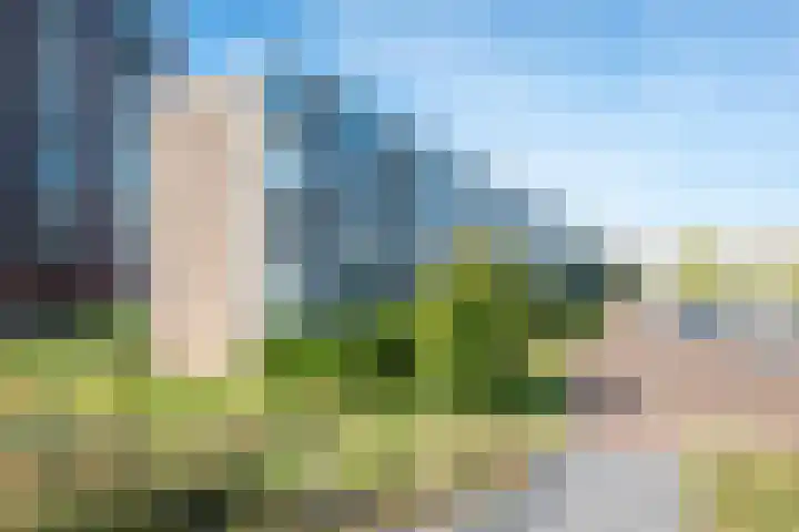 Auriollaan 73 Utrecht thumbnail 64
