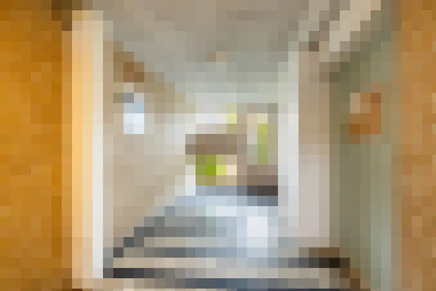 Auriollaan 77 Utrecht thumbnail 31