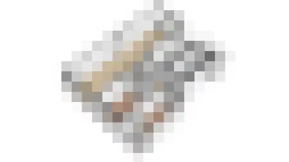 Auriollaan 78 Utrecht thumbnail 24