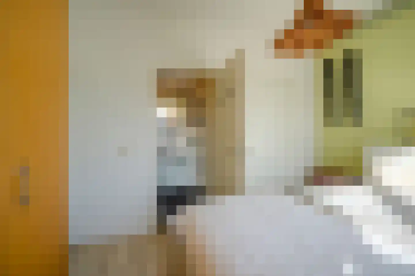 Auriollaan 81 Utrecht thumbnail 17
