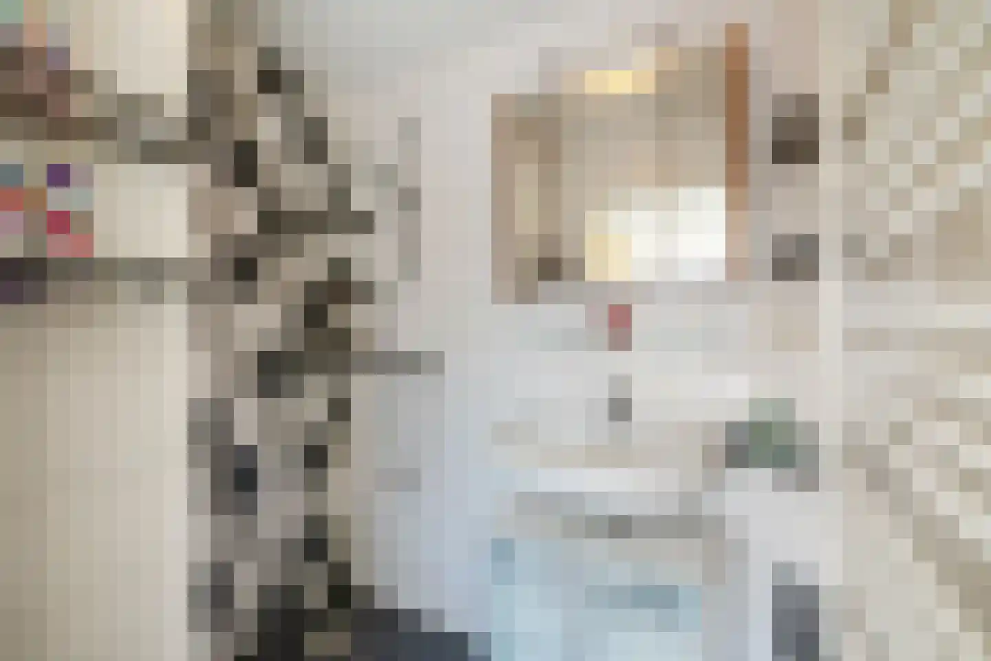 Auriollaan 81 Utrecht thumbnail 18