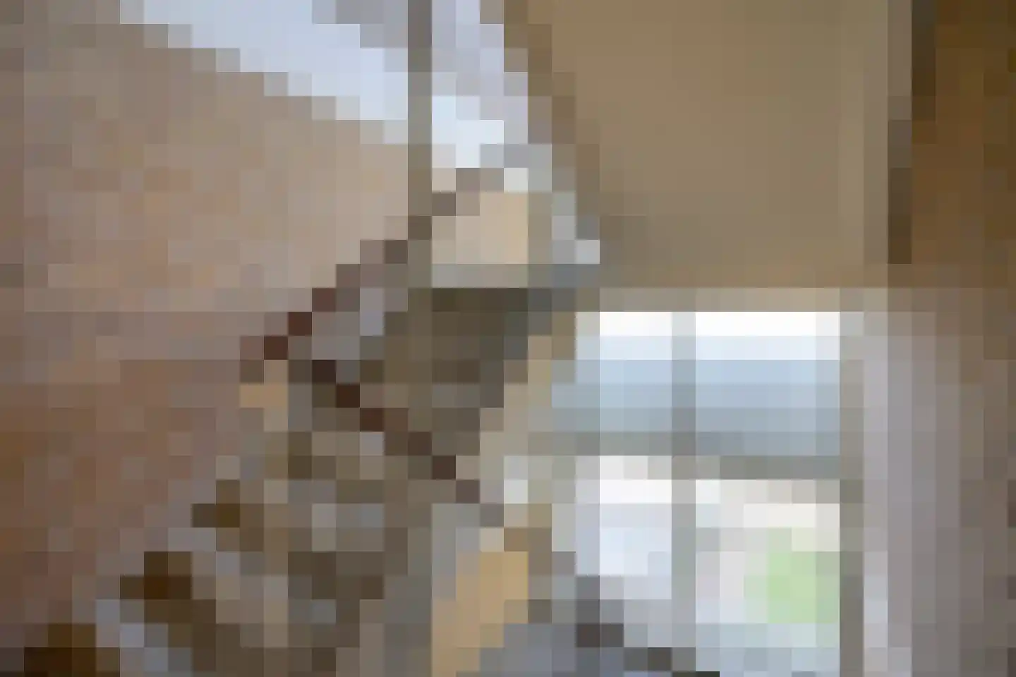 Auriollaan 81 Utrecht thumbnail 26