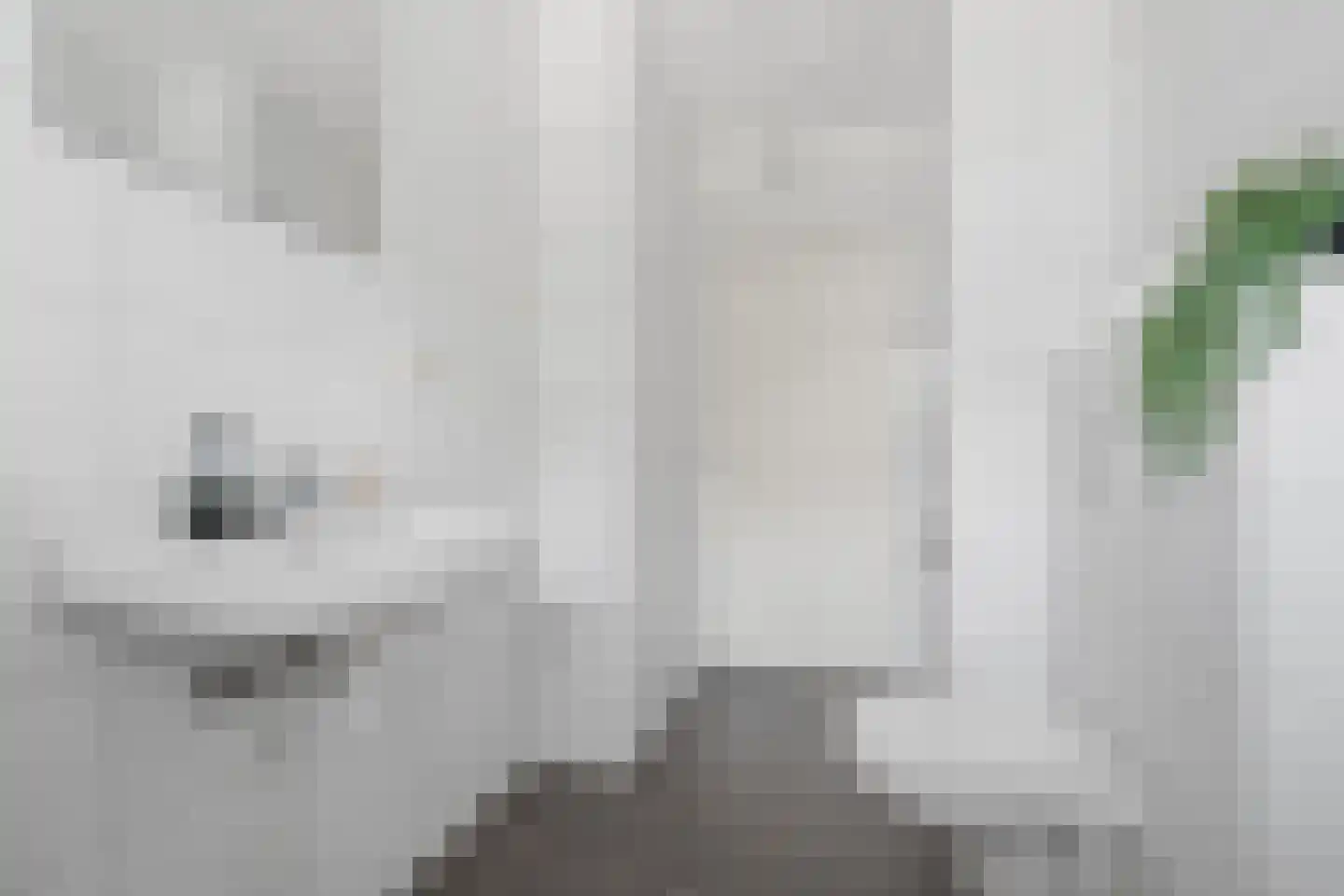 Auriollaan 90 Utrecht thumbnail 35