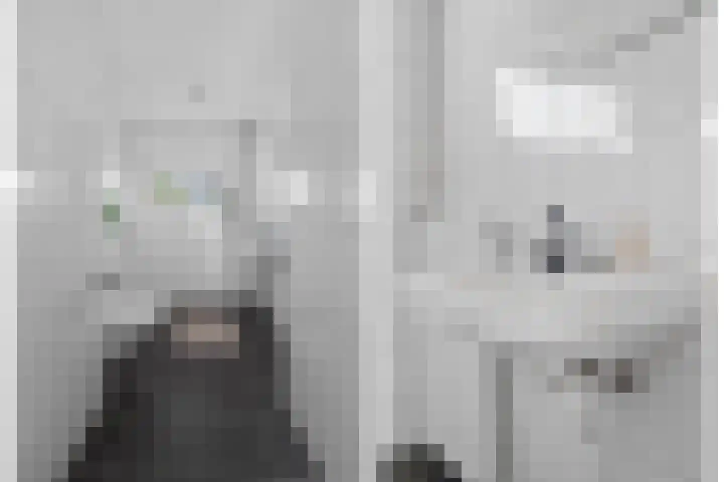 Auriollaan 90 Utrecht thumbnail 36