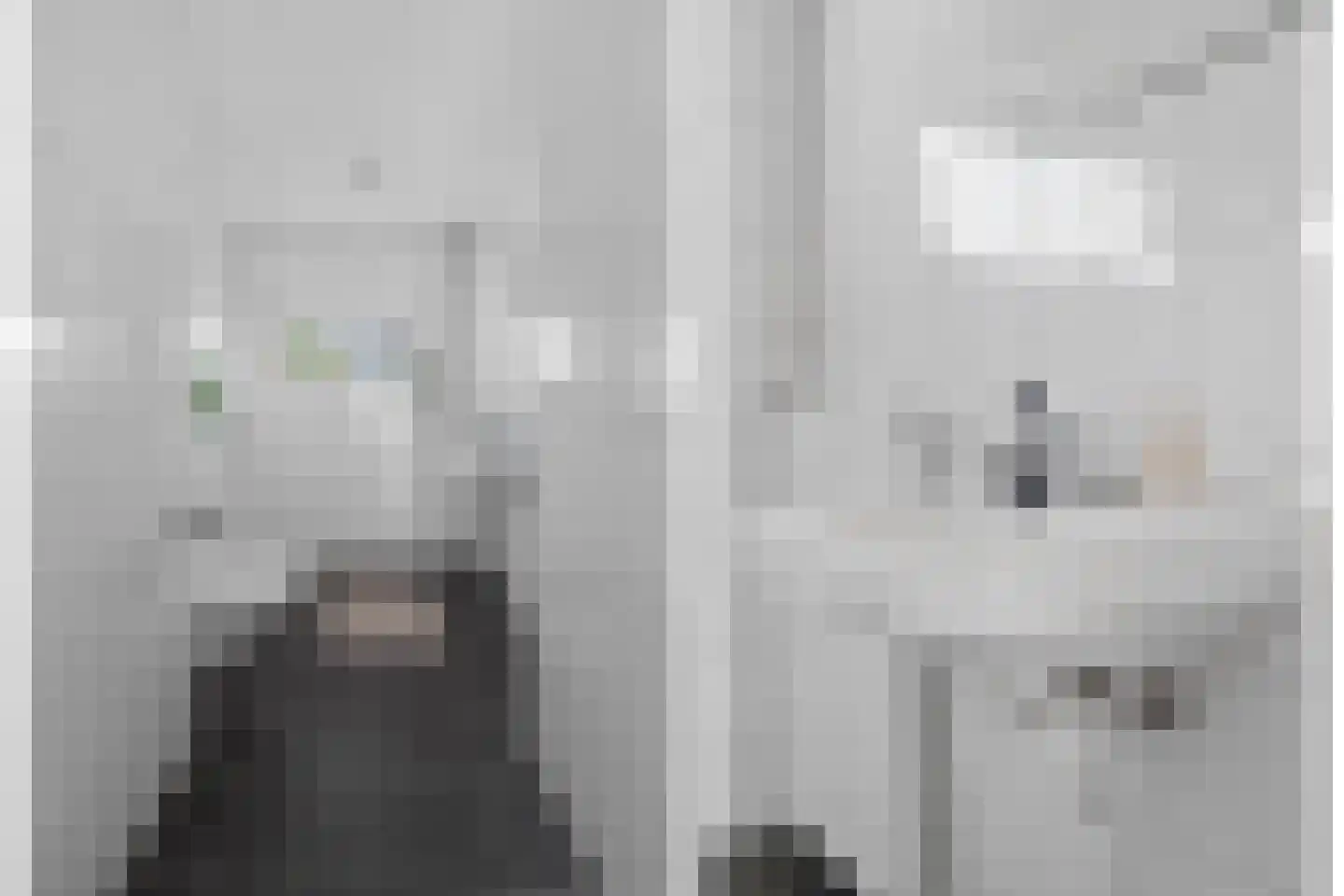 Auriollaan 90 Utrecht thumbnail 36