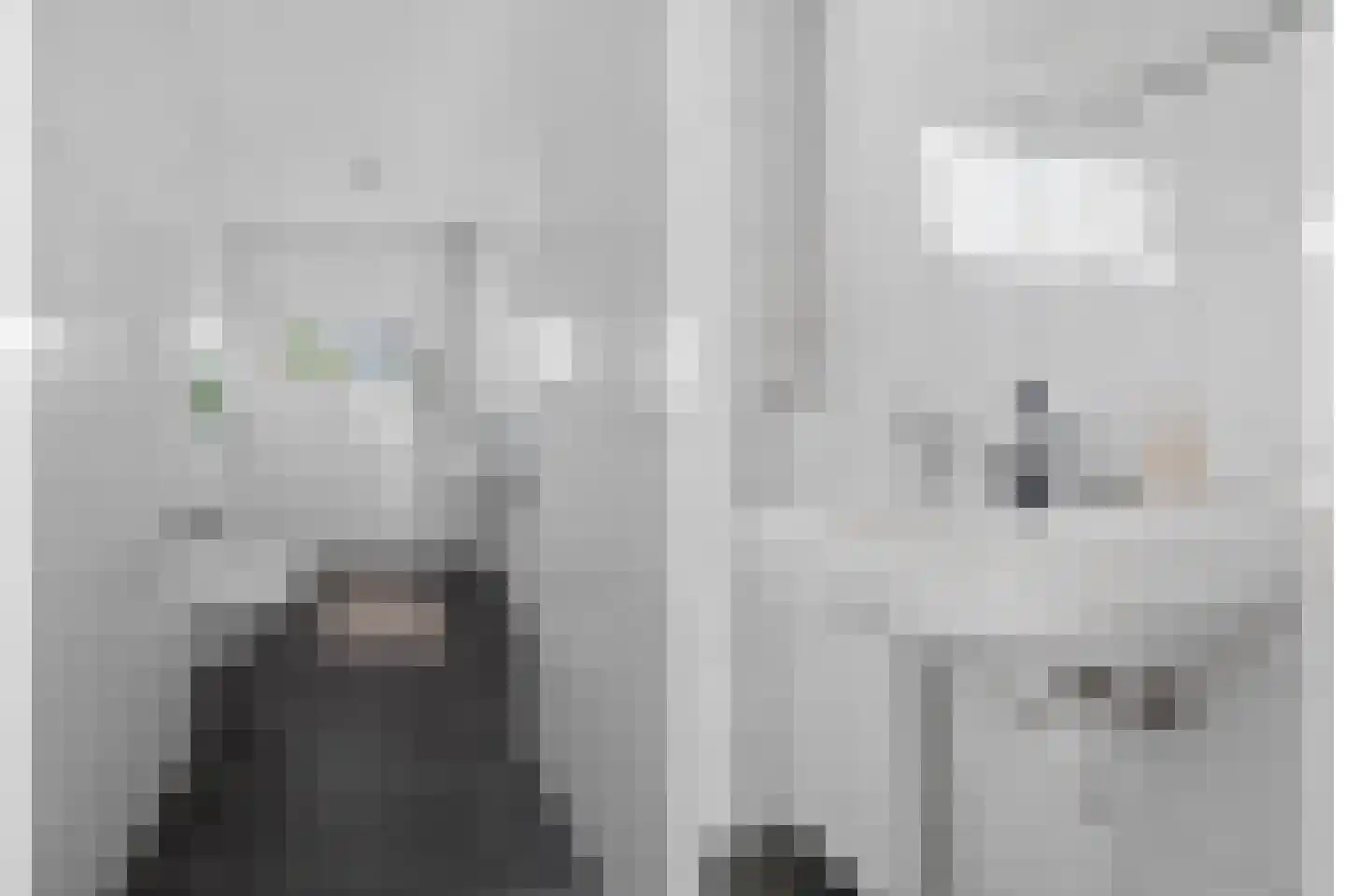 Auriollaan 90 Utrecht thumbnail 37