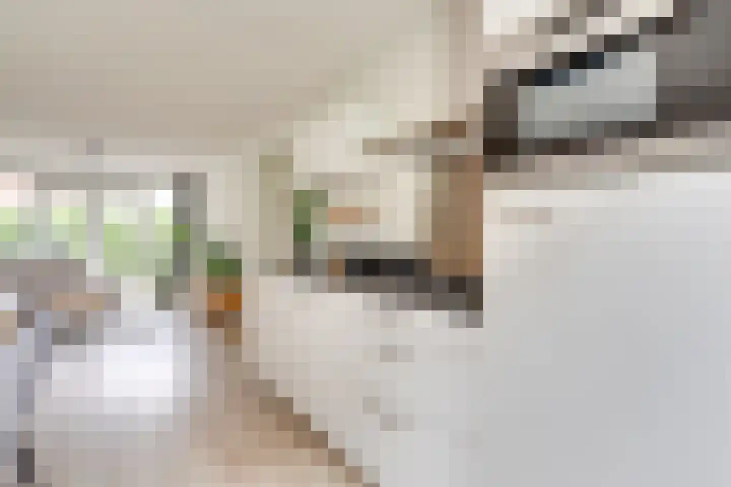 Auriollaan 93 A Utrecht thumbnail 15