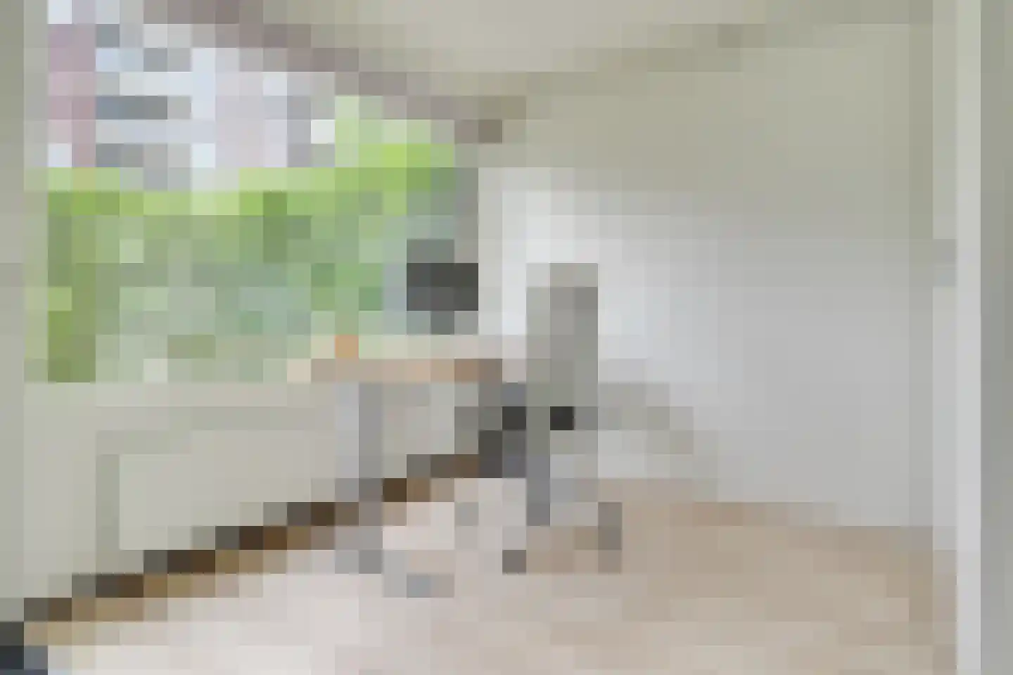 Auriollaan 93 A Utrecht thumbnail 25