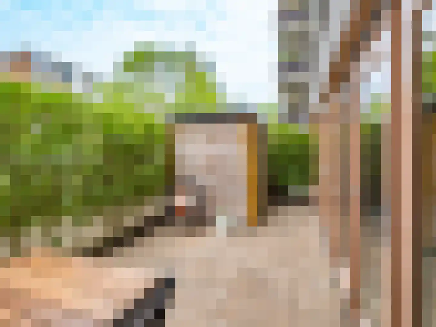 Auriollaan 93 A Utrecht thumbnail 31