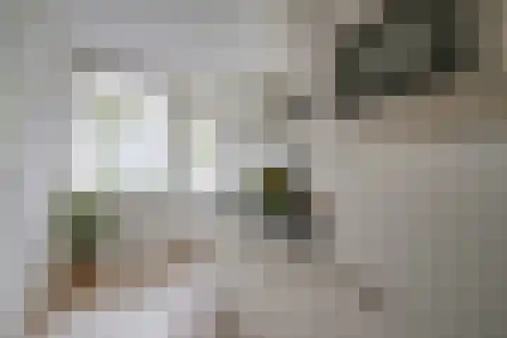 Auriollaan 98 Utrecht thumbnail 13