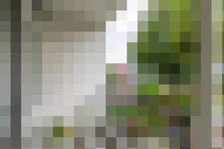 Auriollaan 98 Utrecht thumbnail 15