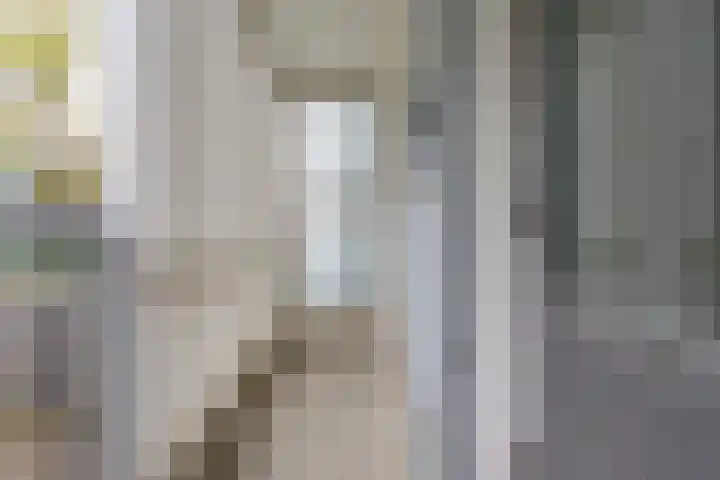 Auriollaan 98 Utrecht thumbnail 17
