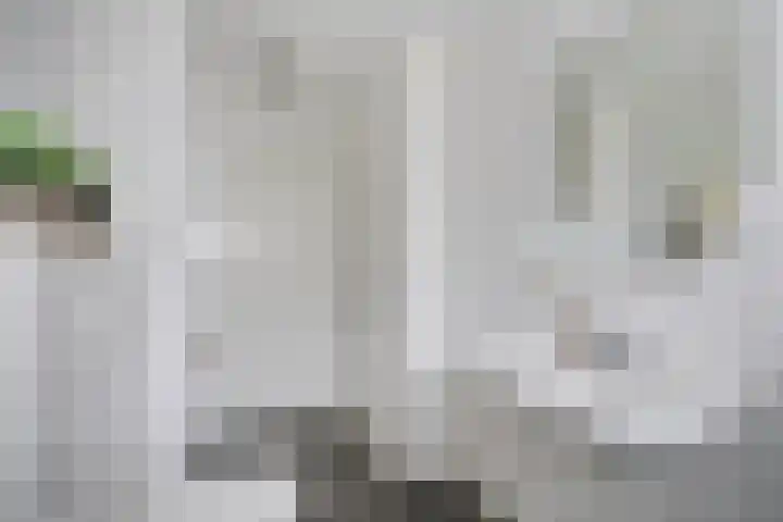Auriollaan 98 Utrecht thumbnail 25