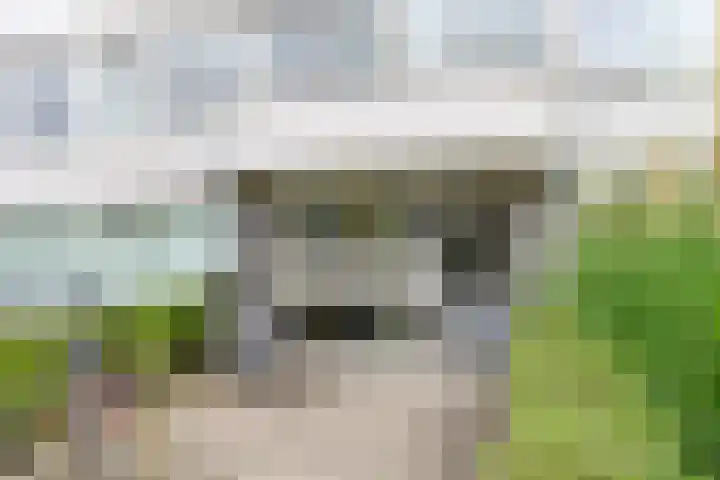 Auriollaan 98 Utrecht thumbnail 27