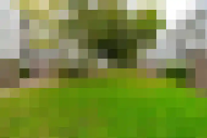 Auriollaan 98 Utrecht thumbnail 30