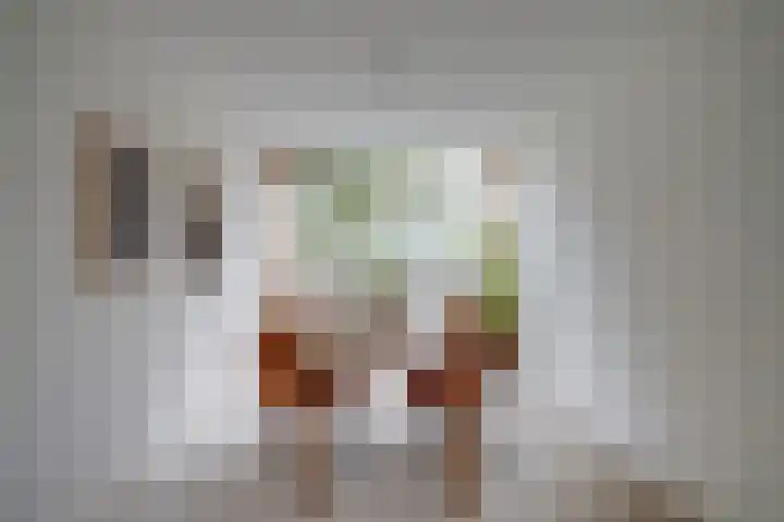 Auriollaan 98 Utrecht thumbnail 5