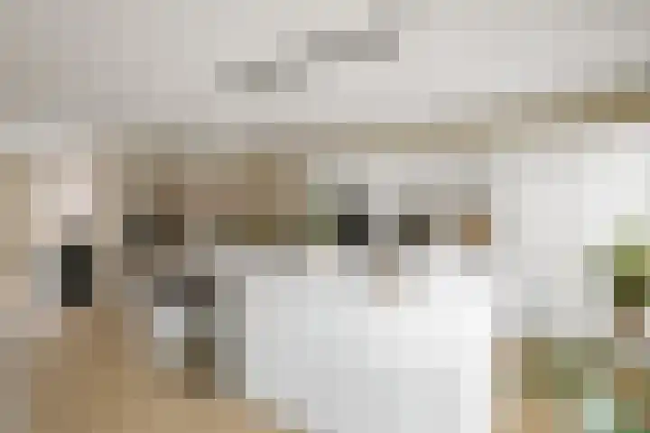Auronde 20 Deventer thumbnail 17