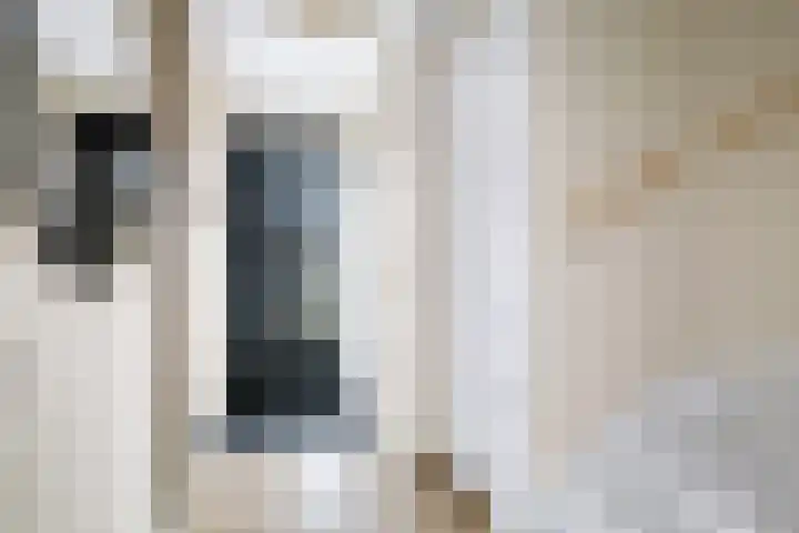 Auronde 20 Deventer thumbnail 25