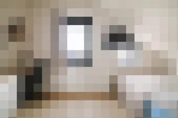 Auronde 20 Deventer thumbnail 37