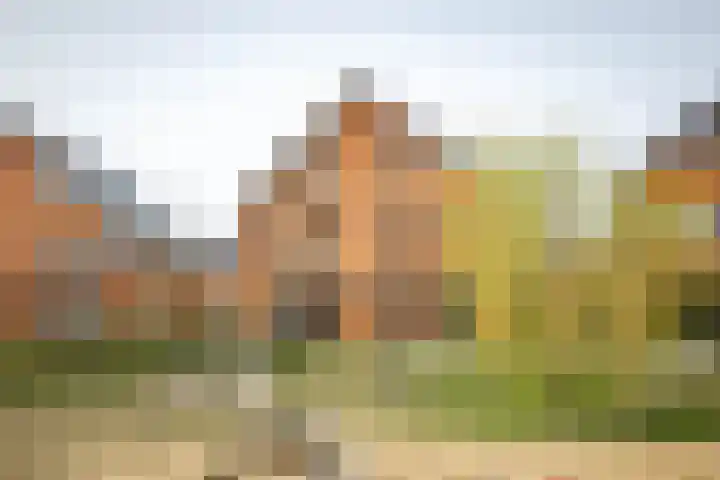 Auronde 20 Deventer thumbnail 39