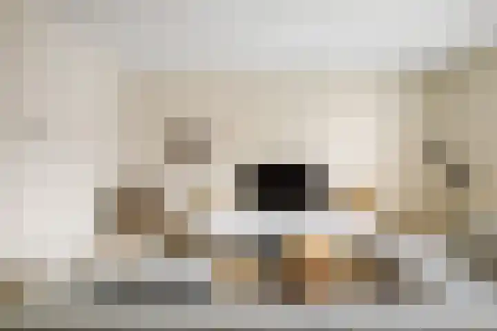 Auronde 20 Deventer thumbnail 4