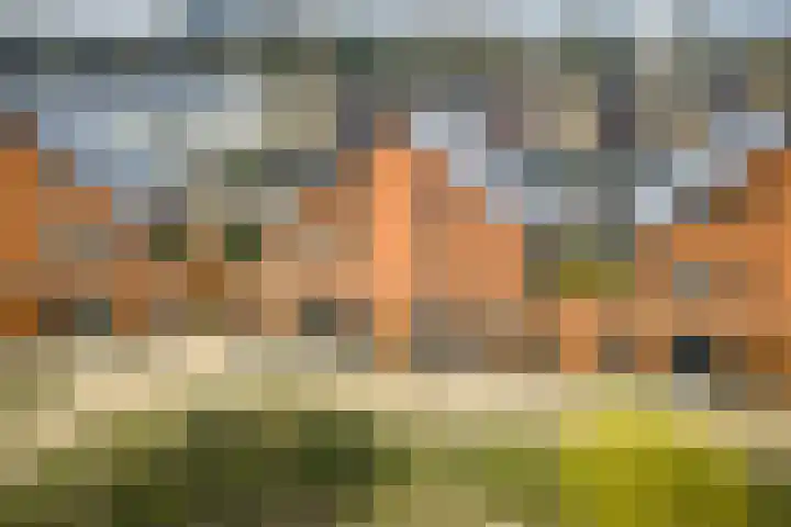 Auronde 20 Deventer thumbnail 40