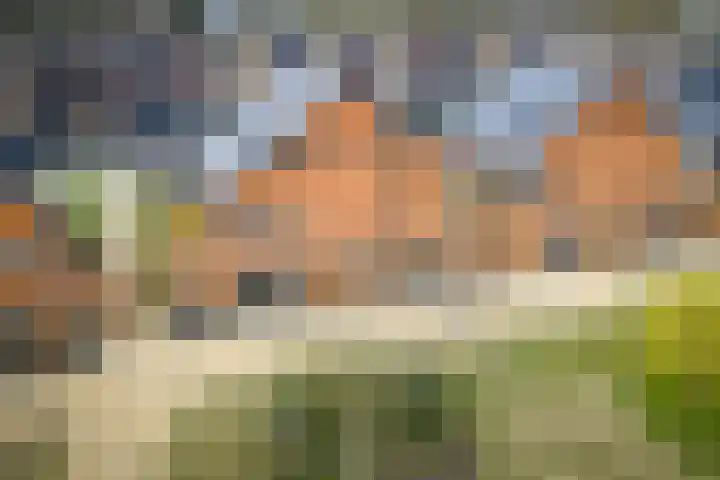 Auronde 20 Deventer thumbnail 41