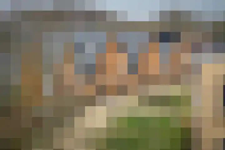 Auronde 20 Deventer thumbnail 42