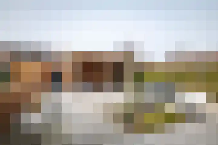Auronde 20 Deventer thumbnail 46
