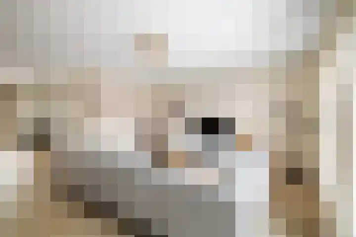 Auronde 20 Deventer thumbnail 5