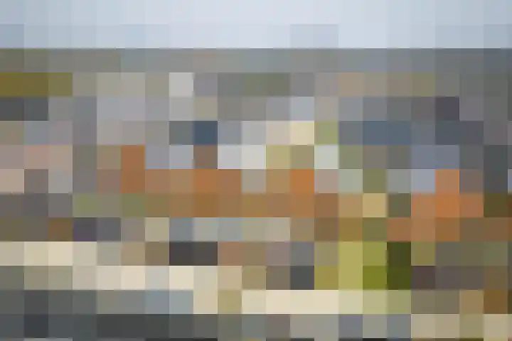 Auronde 20 Deventer thumbnail 55