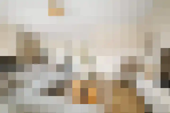 Auronde 20 Deventer thumbnail 6