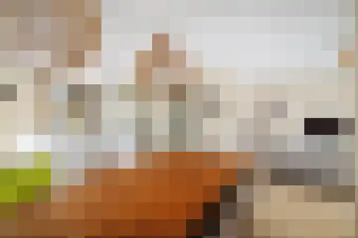 Auronde 20 Deventer thumbnail 9