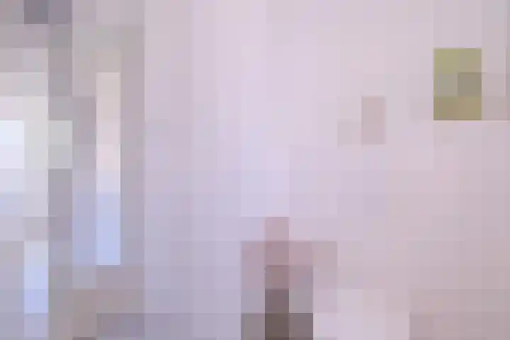 Auronde 4 Deventer thumbnail 18