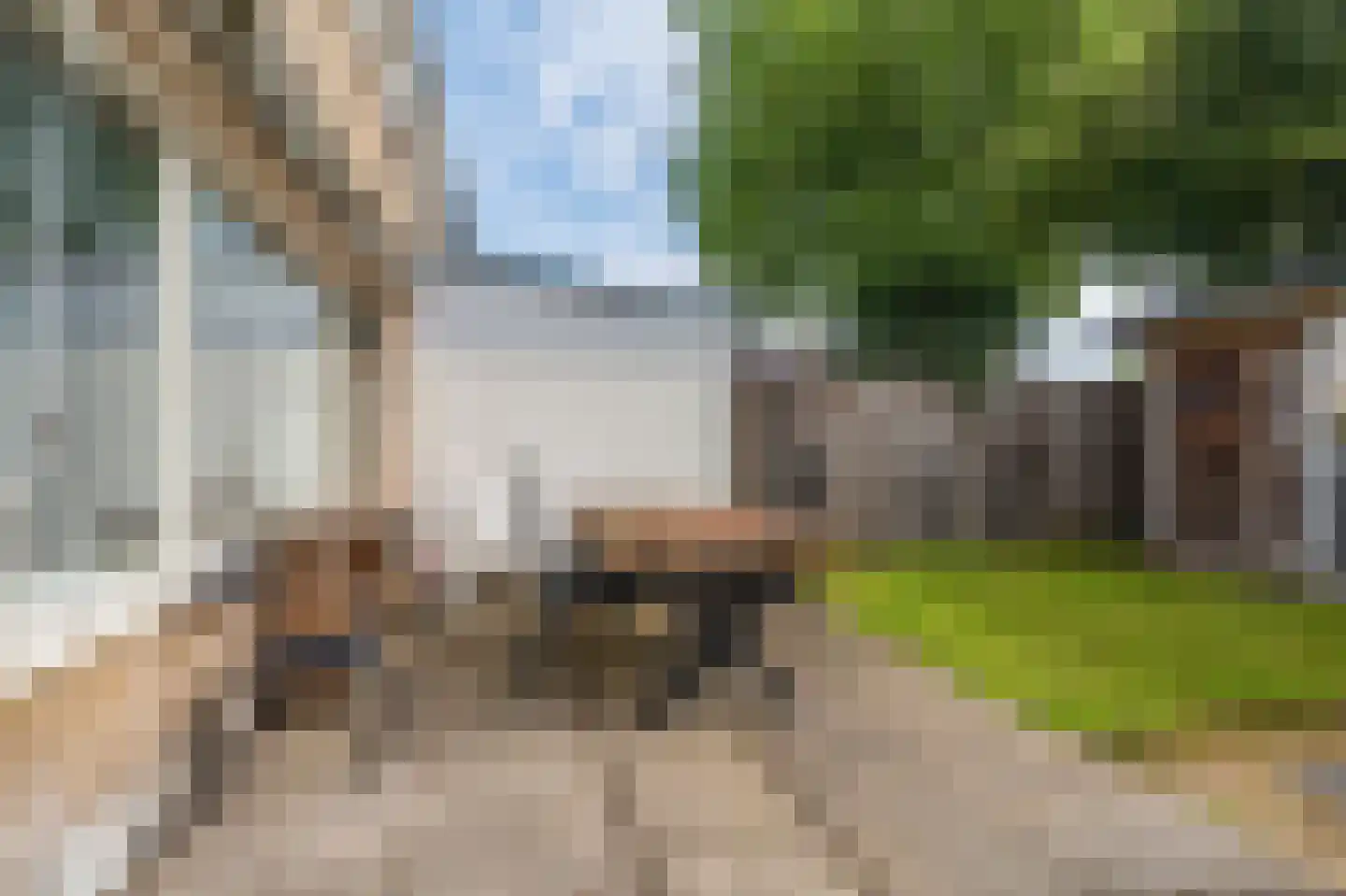 Aurora 21 Hoogezand thumbnail 22