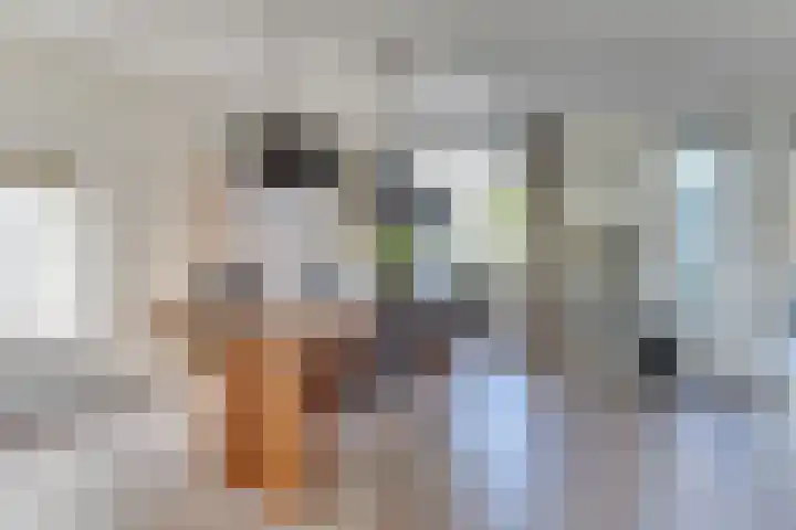 Aurora 29 Opmeer thumbnail 13