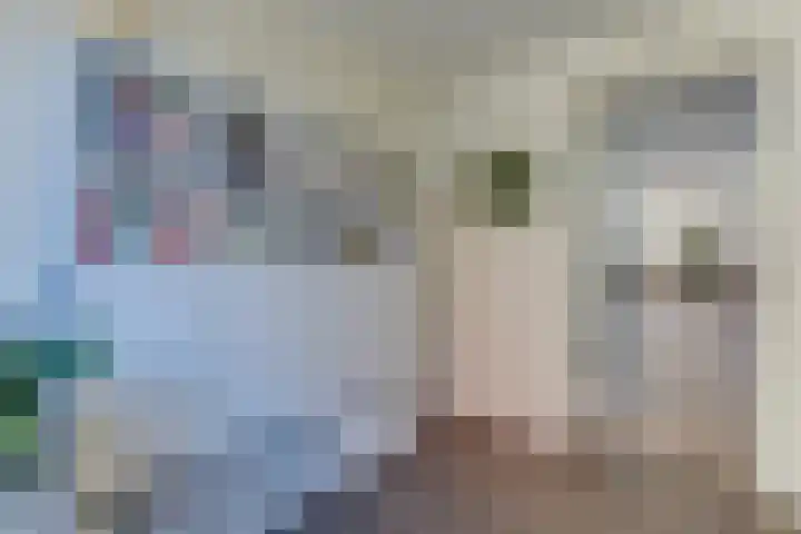 Aurora 29 Opmeer thumbnail 18
