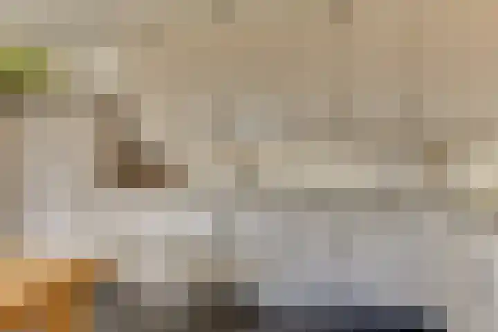 Aurora 29 Opmeer thumbnail 22
