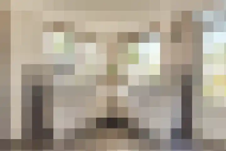 Aurora 29 Opmeer thumbnail 24