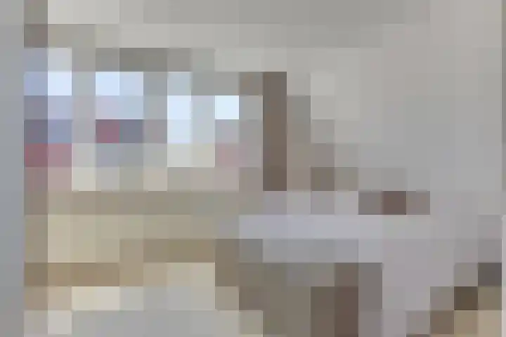 Aurora 29 Opmeer thumbnail 29