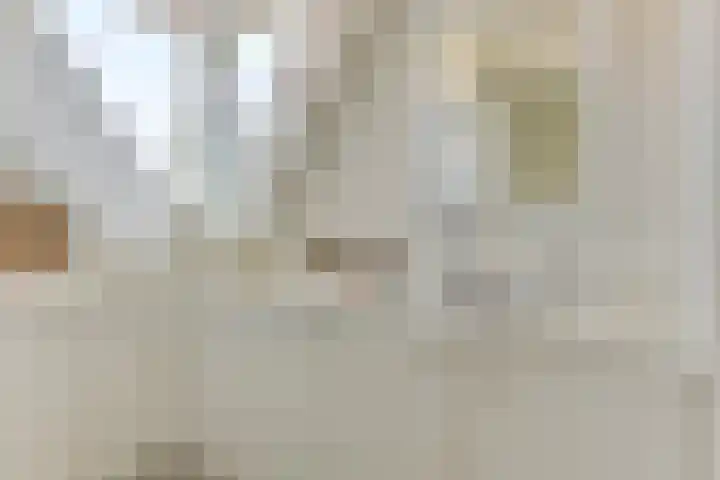 Aurora 29 Opmeer thumbnail 32