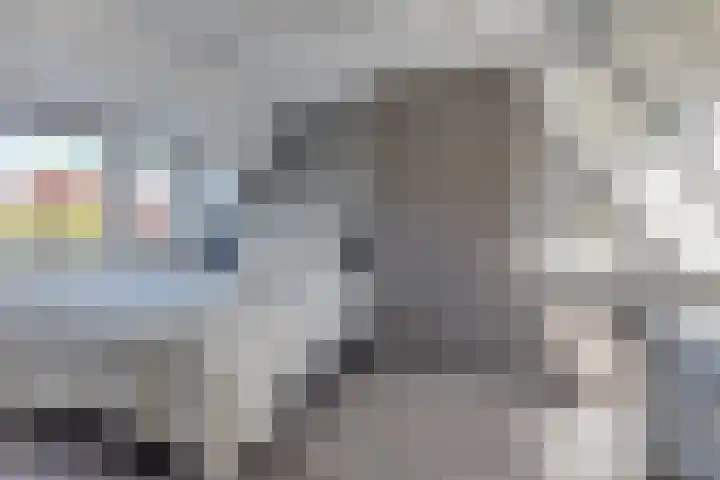Aurora 29 Opmeer thumbnail 43