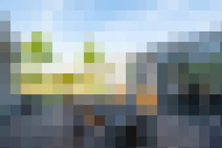 Aurora 29 Opmeer thumbnail 48