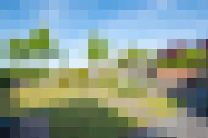 Aurora 29 Opmeer thumbnail 49