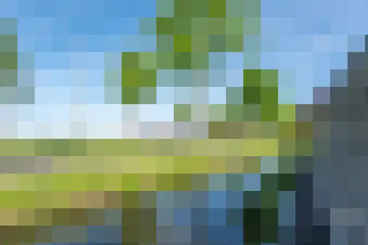 Aurora 29 Opmeer thumbnail 54