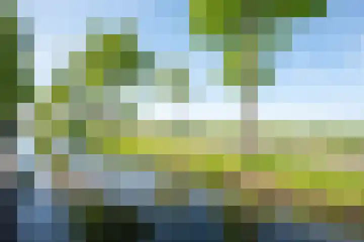 Aurora 29 Opmeer thumbnail 55