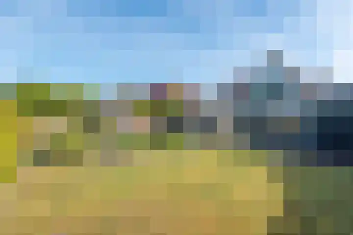 Aurora 29 Opmeer thumbnail 56